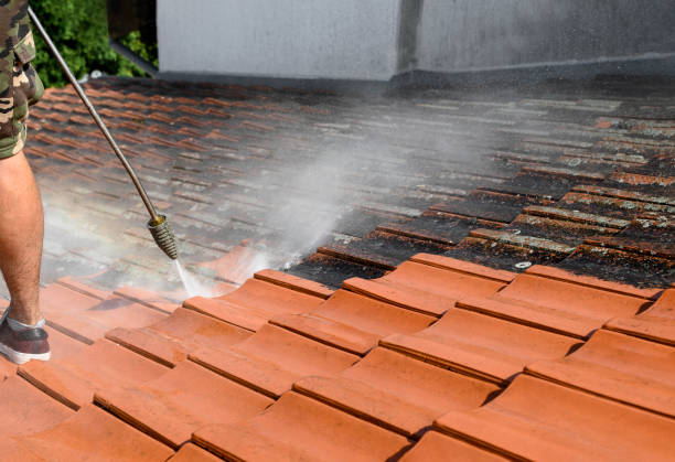 Best Commercial Building Pressure Washing  in Middleport, OH